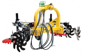 Meziřadí vinice a&nbsp;sady